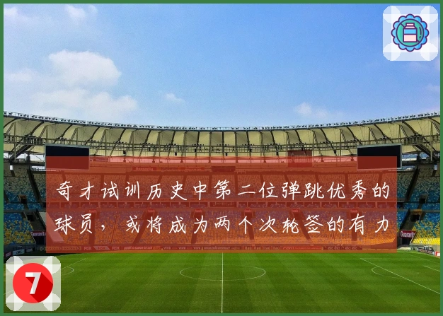 奇才试训历史中第二位弹跳优秀的球员，或将成为两个次轮签的有力竞争者。